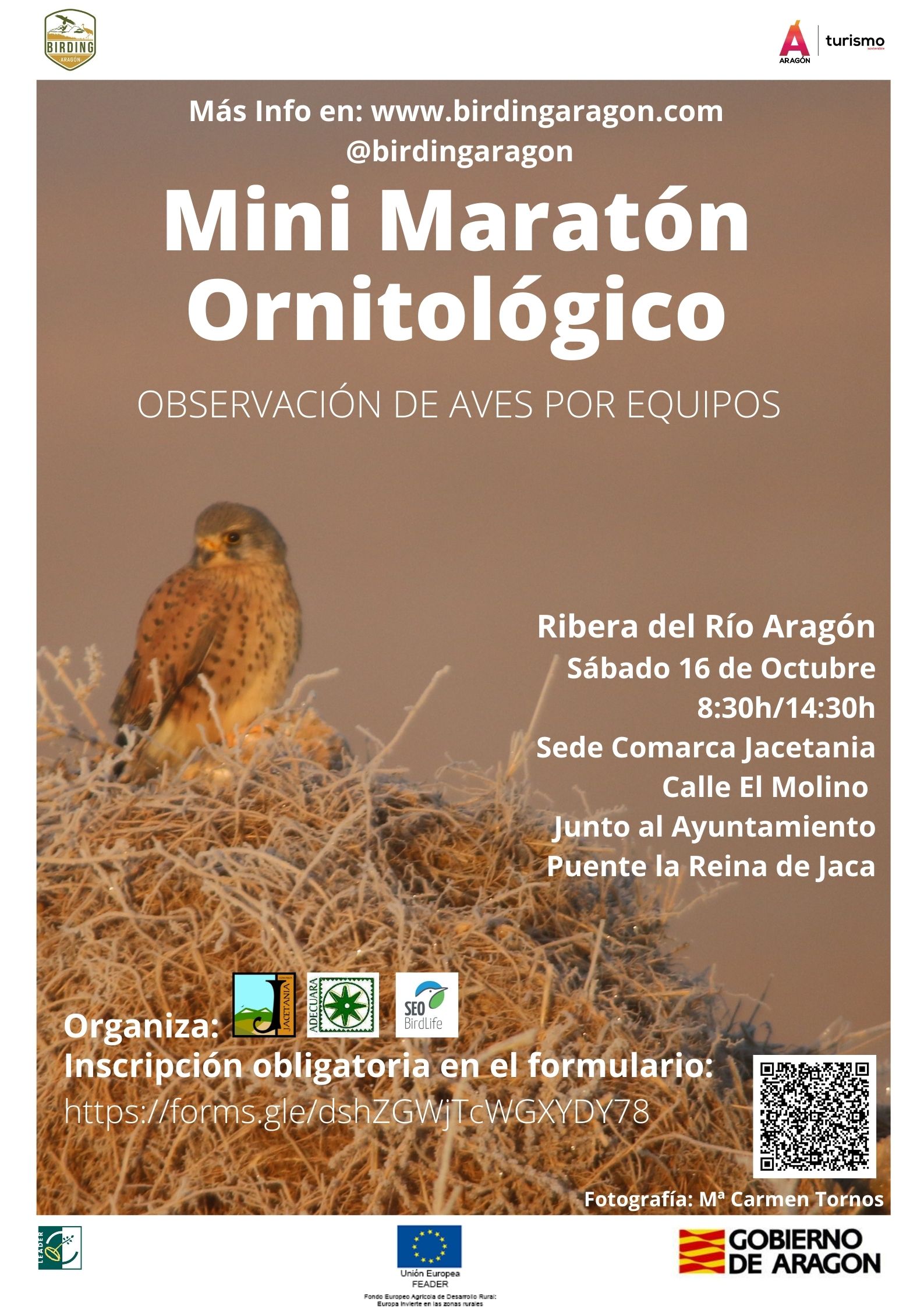 Mini-Maratón ornitológico, en Puente la Reina